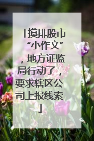 摸排股市“小作文”，地方证监局行动了，要求辖区公司上报线索